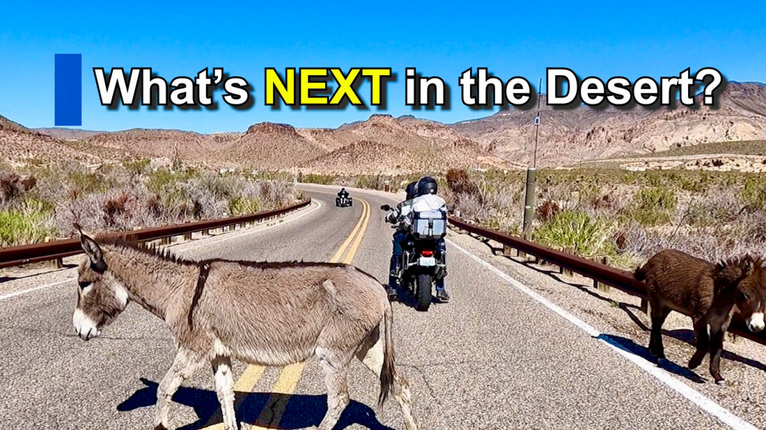 Careful - What's Around That Corner? - MOTORCYCLE TRAVELS